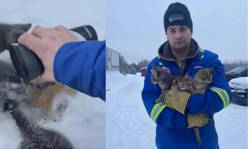 Canada Man Comes up With Ingenious Idea, Rescues Frozen Kittens With Hot Coffee: isnt it beautiful?