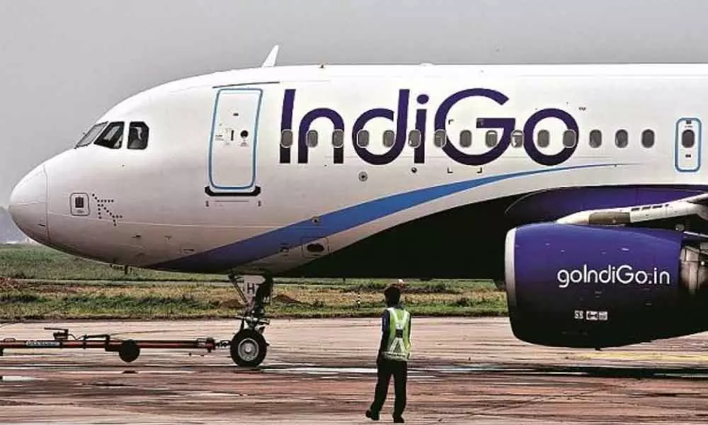 InterGlobe Aviation Q3 profit soars to Rs 496 crore