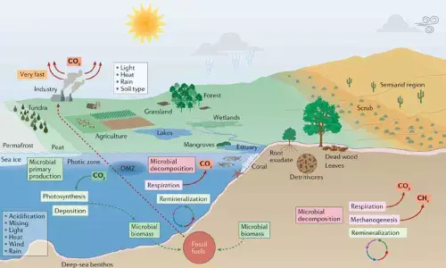 Climate change, humans causing Earths biodiverse ecosystems to collapse: Study