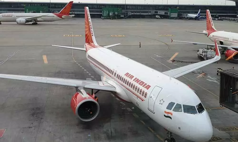 Rat stalls Air India flight in Varanasi, then vanishes