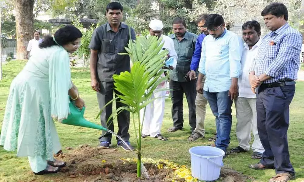 Develop green cover to protect environment: Collector M Prashanthi