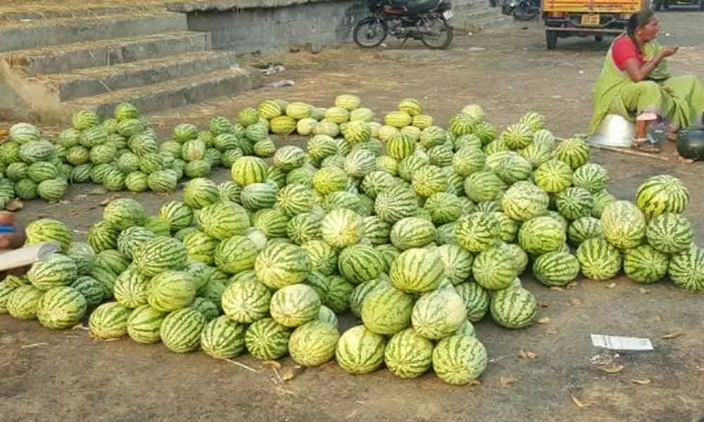 Warangal: Fruit market to come up