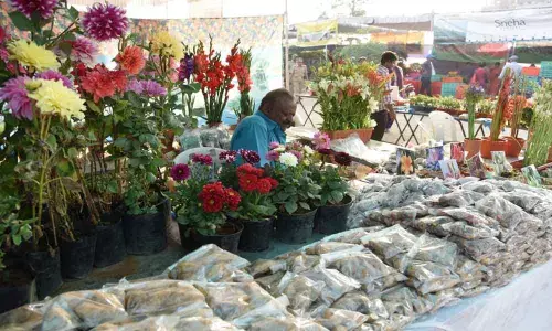 Necklace Road: Horticulture expo ends on a positive note