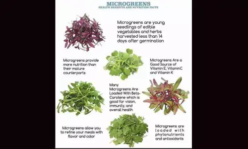 Hyderabad: Micro greens trending for healthy living