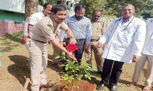 Uppal: Haritha Haram held at RDO office
