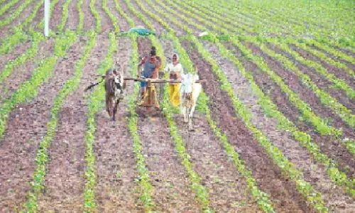 Hyderabad: Fund-starved ZPs, MPPs have high hopes on State budget