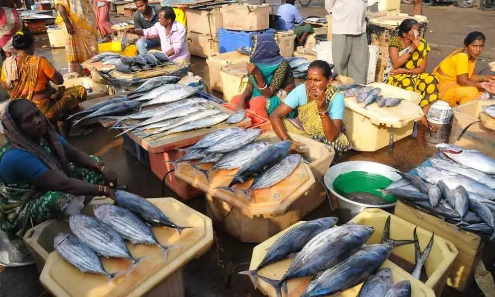 Coronavirus threat hits fish business hard