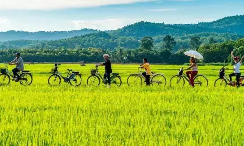 How to travel green...