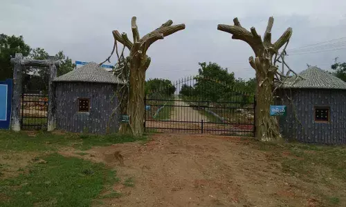 Khammam: Development of urban parks goes at faster pace