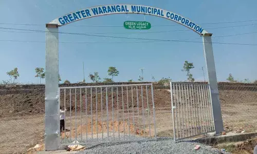 Green Legacy Keep your memories alive