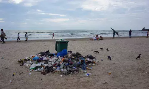 Travel, but do no Trash Travel, but do no Trash