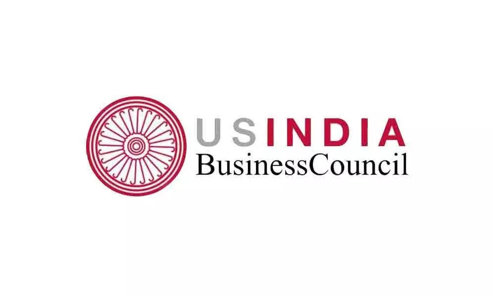 Budget will attract more FDI: US industry