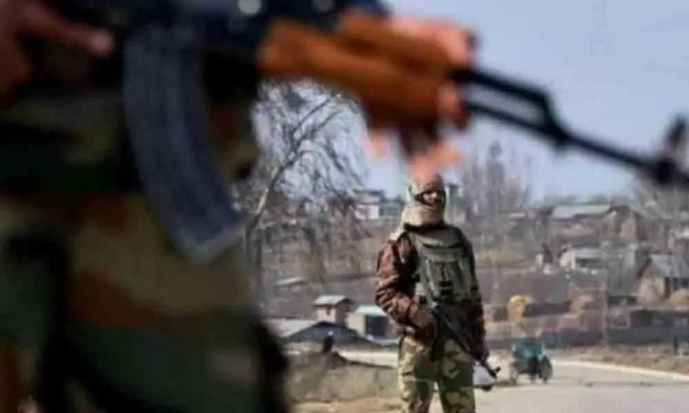 2 CRPF jawans, 7 civilians injured in grenade attack
