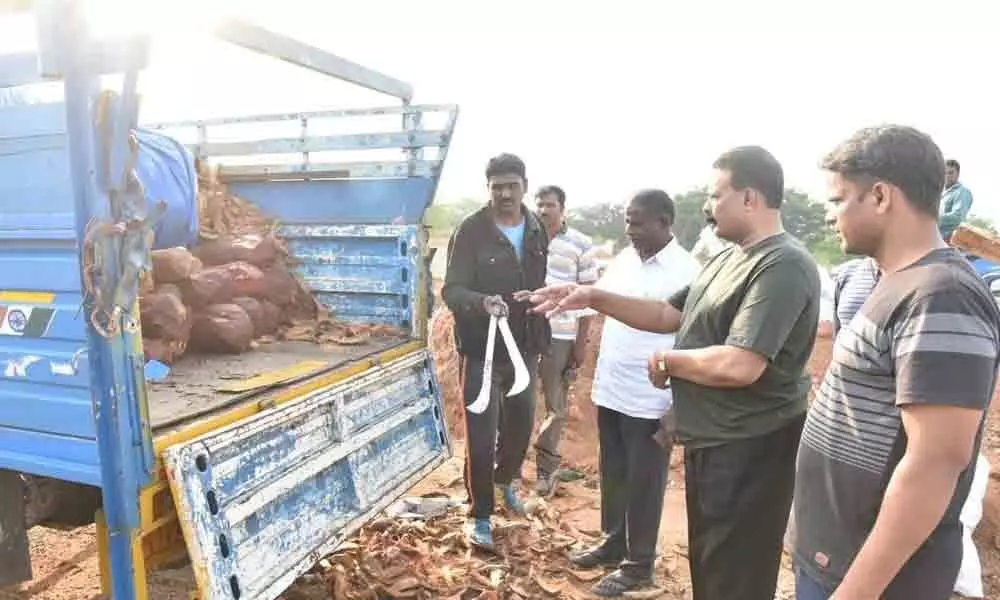 Tirupati: Task Force seizes 28 red sanders logs after hour-long hot chase