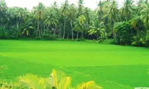 Rajamahendravaram: Proposal to establish Godavari Urban Development Authority shelved