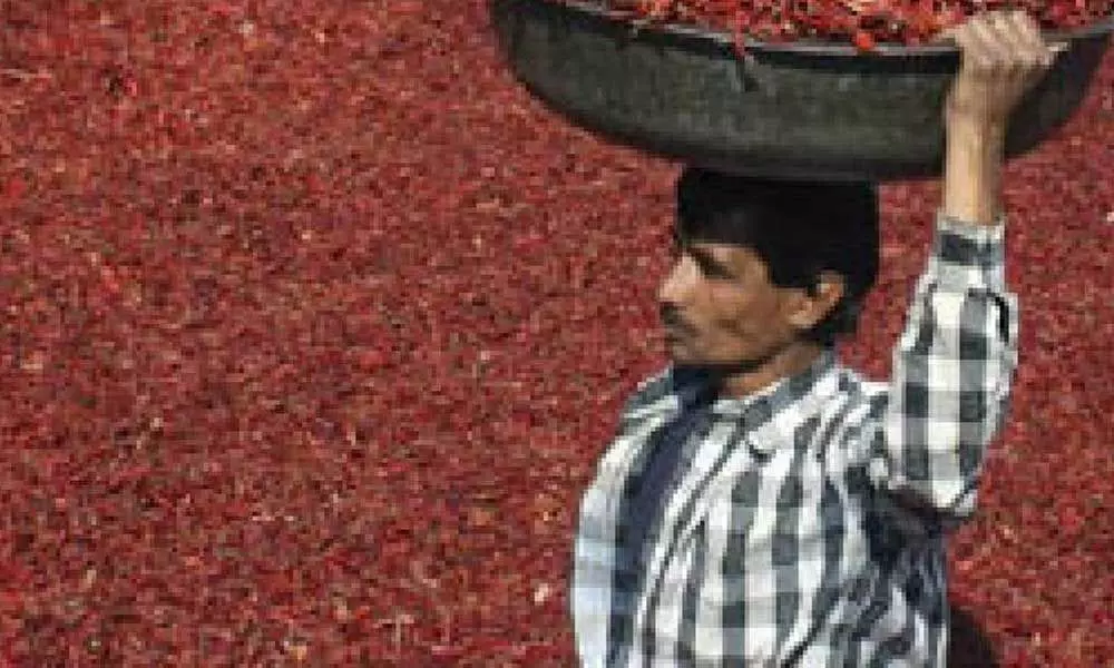 Centre gives green signal for Regional Spices Board in Nizamabad