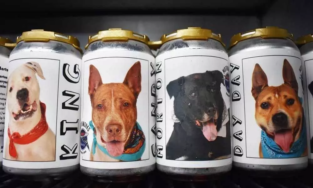 Woman find her Dog in beer cans poster now she is Reunite with Her Missing Dog