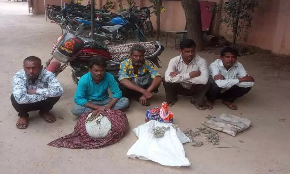 Adilabad: Four held for selling ganja