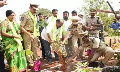 Karimnagar: Miyawaki, a technique to achieve 33% green cover