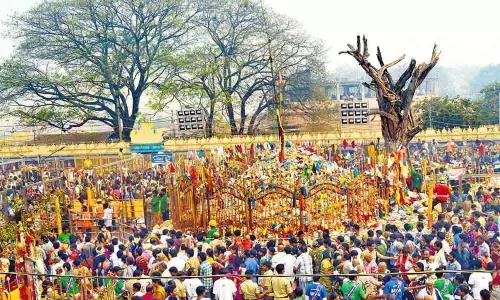 All roads lead to Medaram