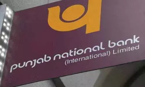 Punjab National Bank Q3 loss at 492 cr as NPA provisioning spikes