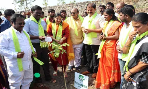 Green legacy launched in Warangal