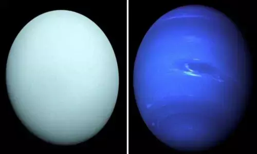 Why Uranus and Neptune are different