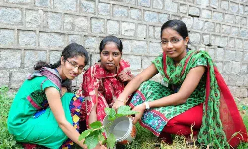 Hyderabad: Months ahead of monsoon, Gram Panchayats gearing up for Haritha Haram