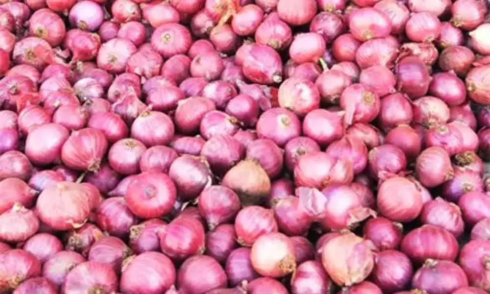 Breaking: Centre lifts the ban on exportation of Krishnapuram Onions