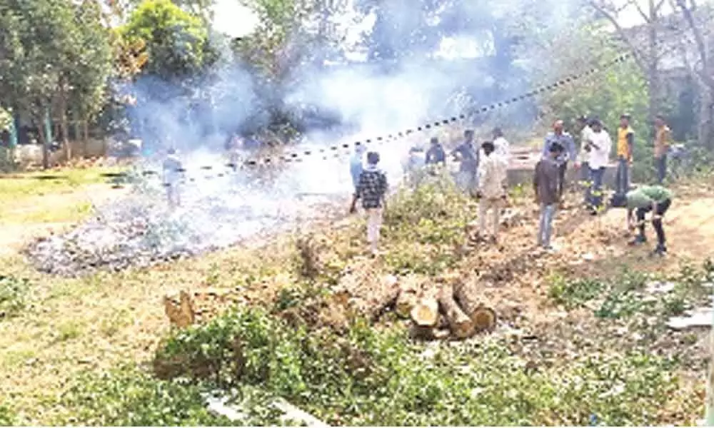 Clean & green programme held in Siddipet government Degree and PG College