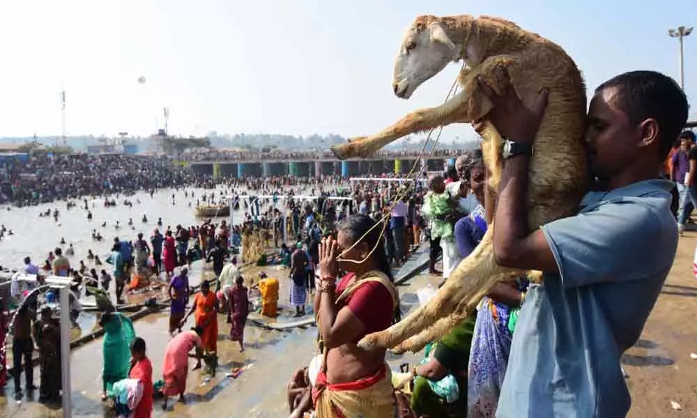 People accuse govt of being biased towards Adivasis, unique festival