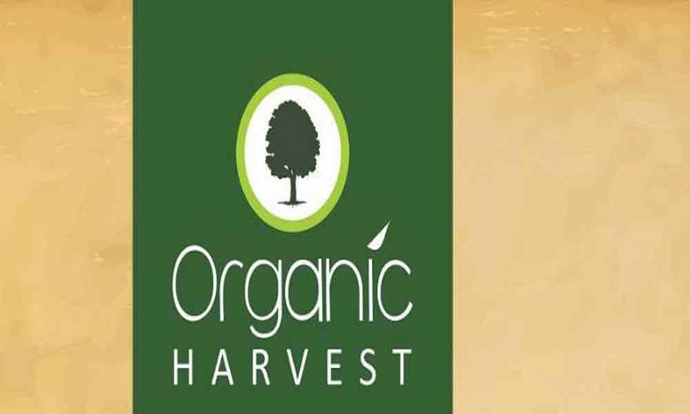 Squarefarm Harvest Logo Graphic by Imaginicon · Creative Fabrica