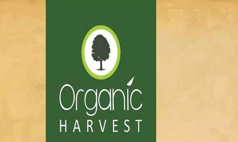 Organic Harvest brings Valentine hamper
