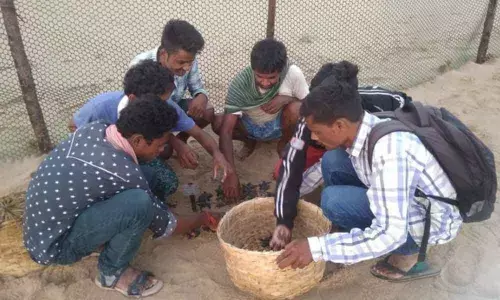 Nellore: Fisherfolk to protect olive ridleys