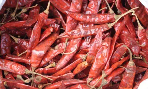 Guntur: Coronavirus pulls down red chilli price in State