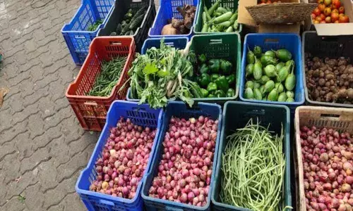 Visakhapatnam: 100 stalls put up at Natural Crops Festival