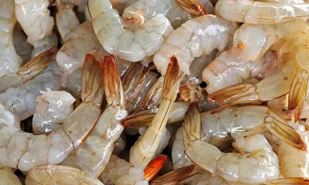 Coronavirus effect: Shrimp industry shrinks in AP with the decrease in foreign exports