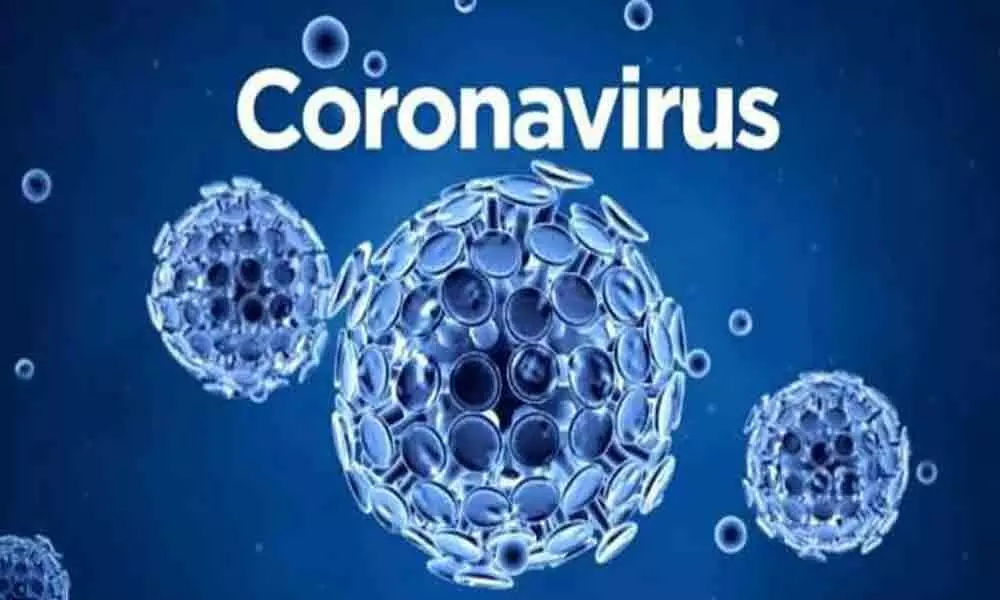 Coronavirus: Manipur, Mizoram impose ban on Chinese imports