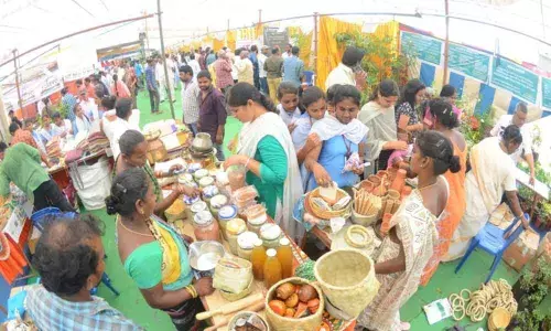 Visakhapatnam: Visakha Organic Mela draws huge crowds