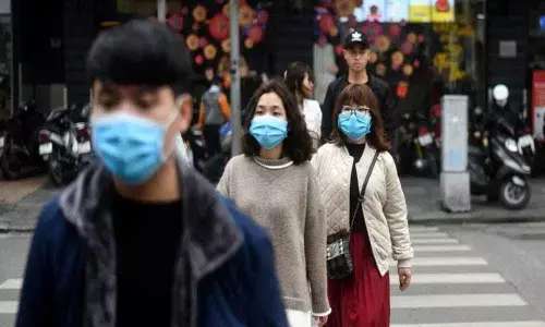 Chinese scientists believe pangolins may have spread coronavirus from bats