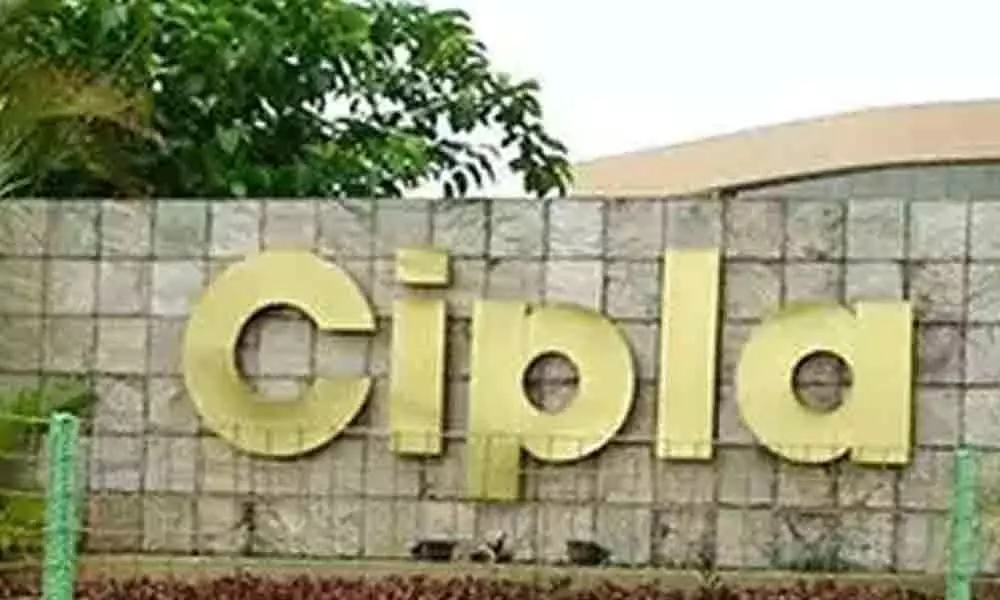 Cipla acquires 4 key brands from Wanbury