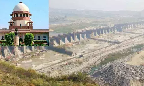 Halt Polavaram works, Odisha govt files affidavit in Supreme Court