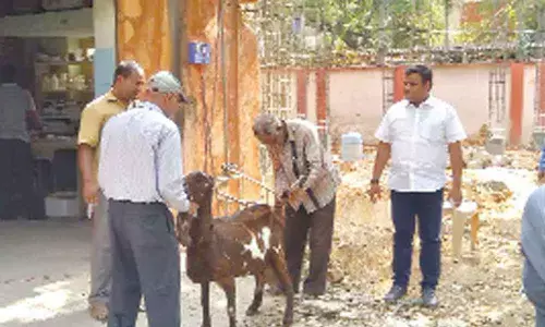 Hyderabad: Malakpet veterinary hospital to get new building