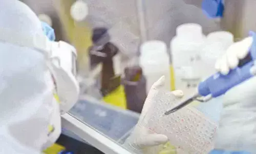 Scientists race to develop vaccine for new coronavirus