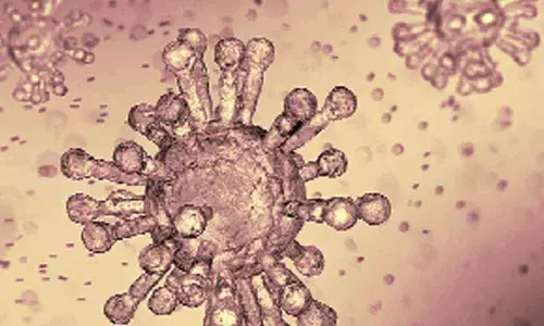 How coronavirus stays on hospital surfaces decoded