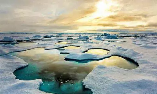 Arctic ice melt is disrupting key ocean current, may alter climate in Western Europe: Study