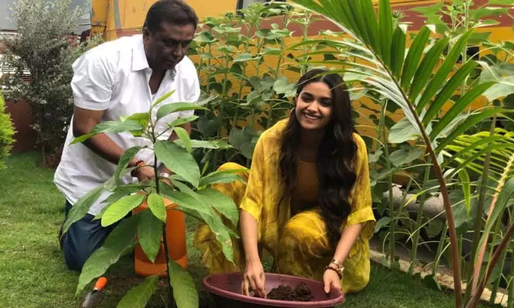 Hyderabad: Keerthy Suresh plants saplings at MEC campus