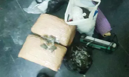 Liquor, Ganja seized during cardon search operation in Chittoor district