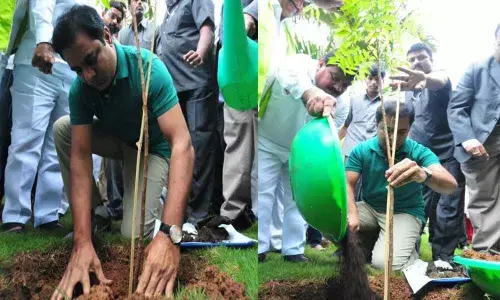 KTR asks party leaders to plant saplings on CM KCRs birthday