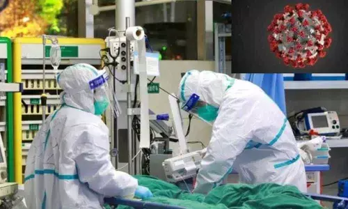 UK team tests China virus vaccine on mice